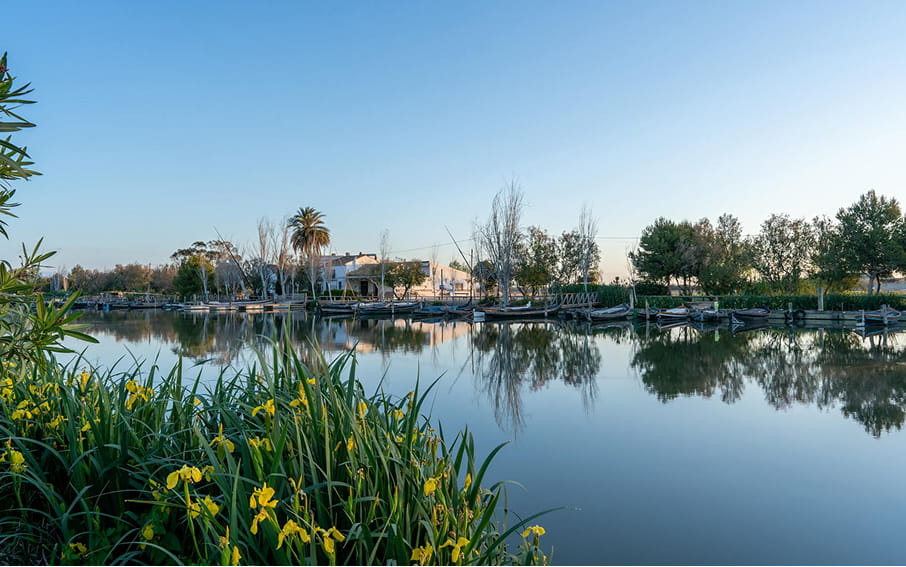 Albufera Natural Park